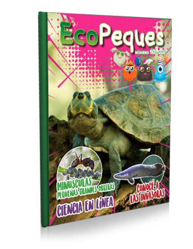 EcoPeques N°10