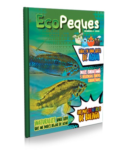 EcoPeques N°4