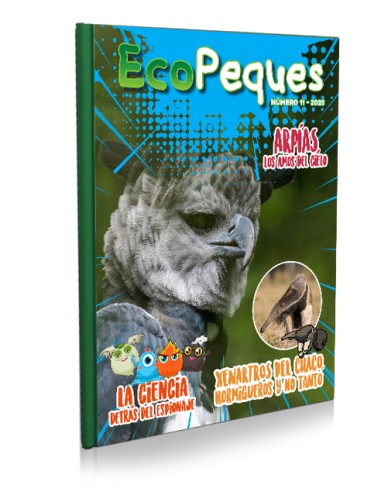 EcoPeques N°11