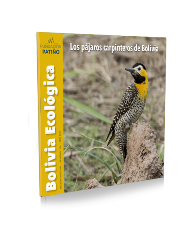 Los pájaros carpinteros de Bolivia 106