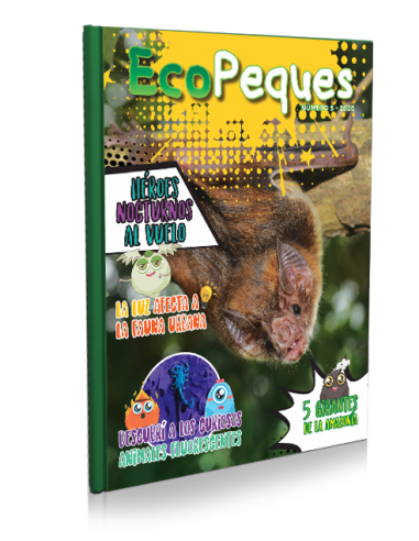 EcoPeques N°5