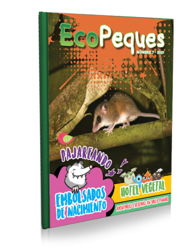 EcoPeques N°7