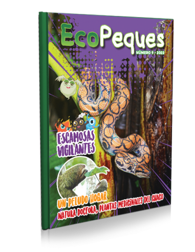 EcoPeques N°9