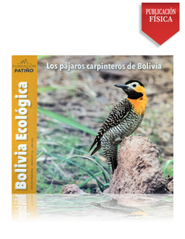 Bolivia Ecológica N° 106 Los pájaros carpinteros de Bolivia