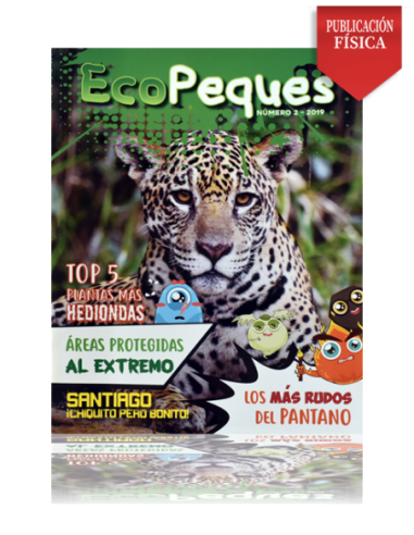 Revista Ecológica Infantil Ecopeques 2