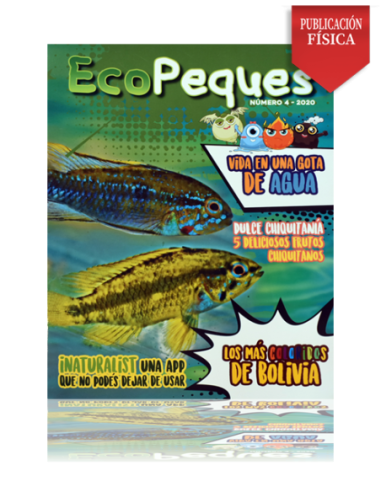 Revista Ecológica Infantil Ecopeques 4