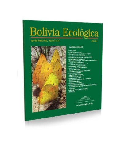 Mariposas de Bolivia 36