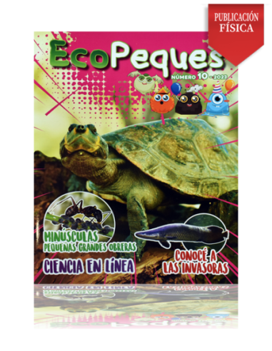 Revista Ecológica Infantil Ecopeques 10