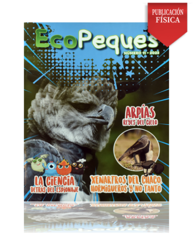 Revista Ecológica Infantil Ecopeques 11